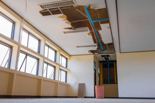 Best Flooded house restoration  in Plains, MT