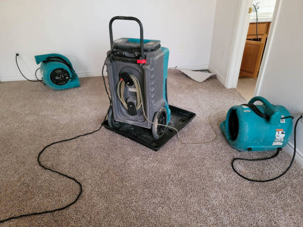 Sewage cleanup and water damage restoration in MT