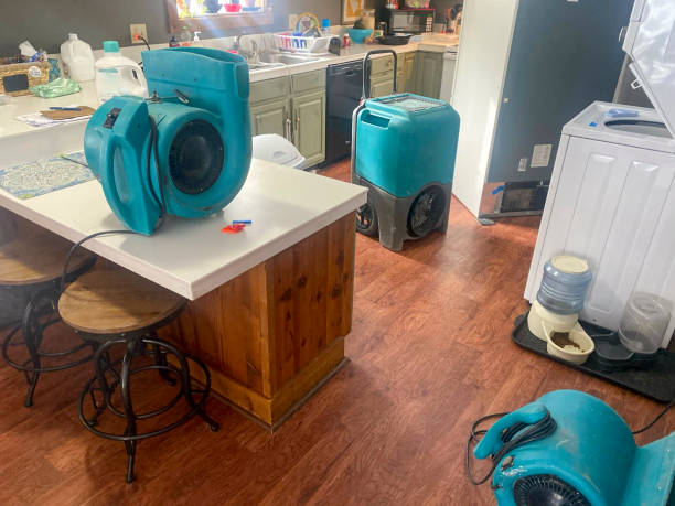 Carpet water damage restoration in MT