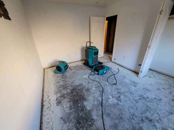 Professional Water damage restoration in MT