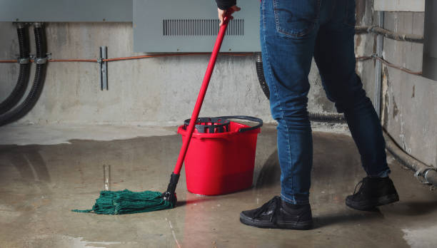 Best Water damage restoration near me  in Plains, MT