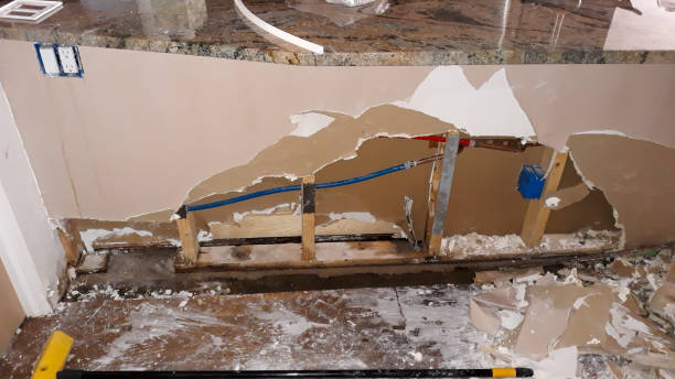Best 24-hour water damage restoration  in Plains, MT