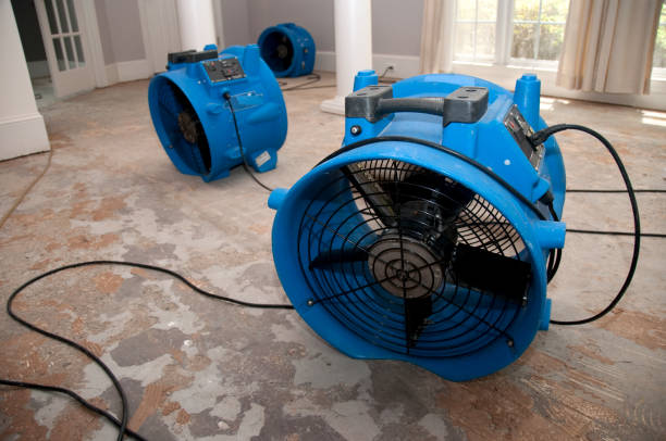 Best 24-hour water damage restoration  in Plains, MT