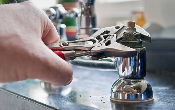 Best Water damage cleanup near me  in Plains, MT