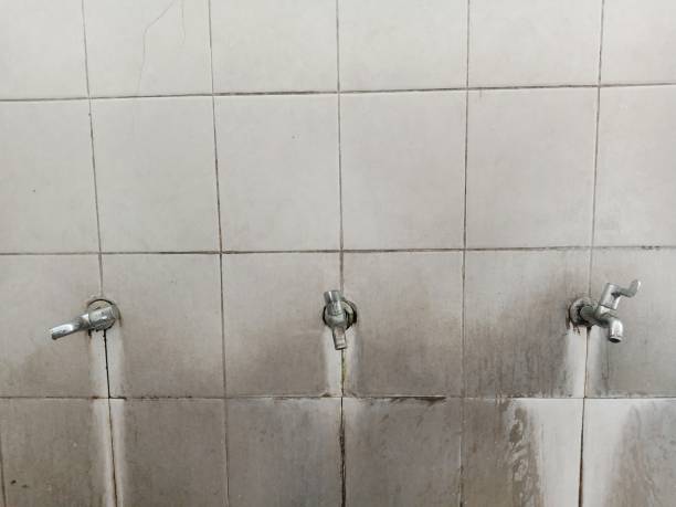Best Flood restoration services  in Plains, MT