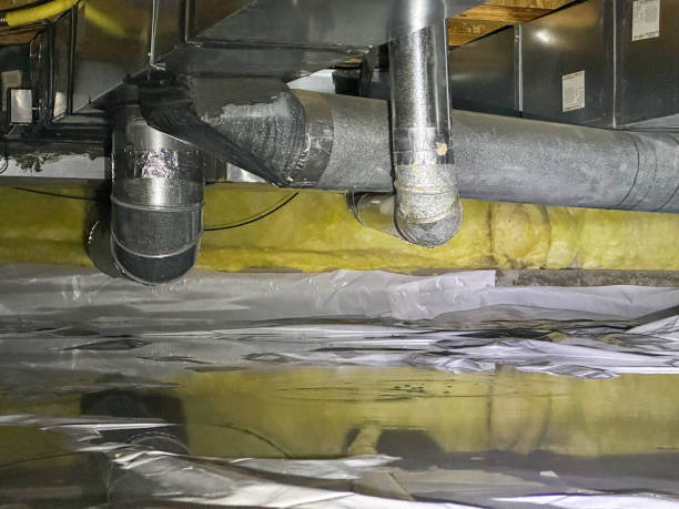 Best Sewage cleanup and water damage restoration  in Plains, MT