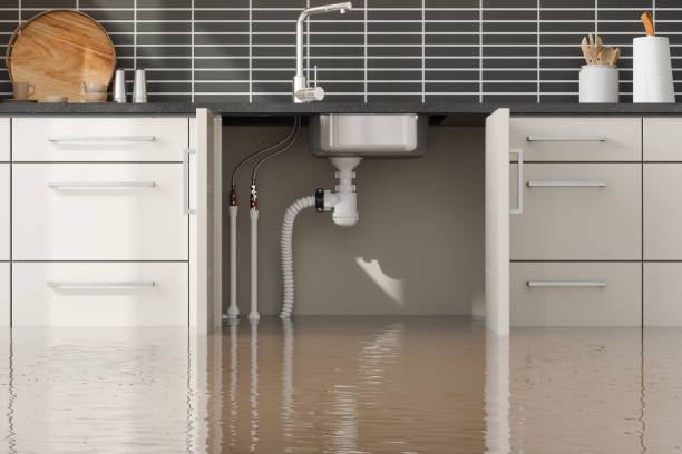 Best Ceiling water damage repair  in Plains, MT