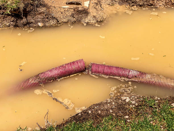 Best 24/7 water damage repair  in Plains, MT